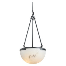 Hanover Iron & Resin 3 Light Pendant
